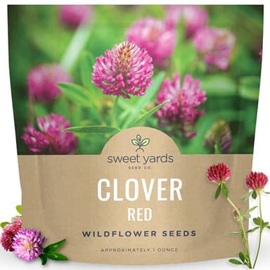 Red Clover - Large 1 Ounce Packet - 15,000 Flower Seeds for Planting - Trifolium pratense