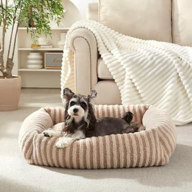 MIXJOY Dog Beds for Small Dogs Cats, Washable Dog Bed with Removable Cover, Soft Calming Cat Bed for Indoor Cats, Rectangle Pet Sofa Bed for Puppy Kitty, Anti-Slip Bottom,20"x19"x6", Beige