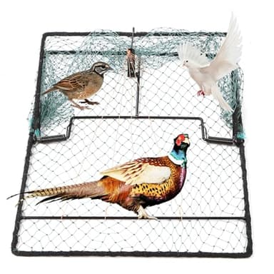 Humane Pigeon Trap,Bird Trap for Quail,Turkey,Net Traps (15.7x19.7 inch)