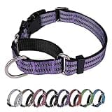 JOYEEIIOO Martingale Dog Collar, Adjustable Nylon Reflective Collar with Buckle No Pull Dog Collar for Small Medium Large Dogs (Purple M)