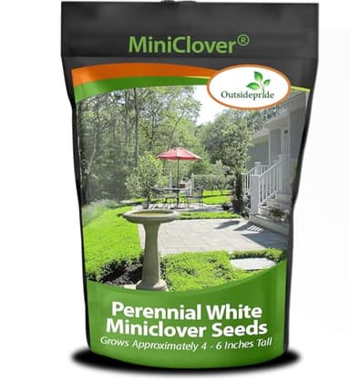Outsidepride Perennial White MiniClover Seed - 1 lb. Dwarf, Small-Leaved, Drought & Wear-Tolerant Micro Clover Seeds for Lawn, Ideal Low-Maintenance & Easy to Grow Ground Cover Seeds for Home Yard