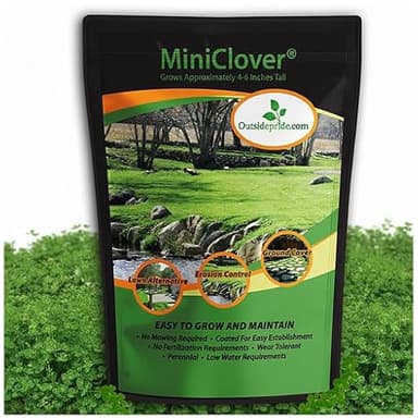 Outsidepride Perennial White MiniClover Seed - 1/4 lb. Dwarf, Small-Leaved, Drought & Wear-Tolerant Micro Clover Seeds for Lawn, Ideal Low-Maintenance & Easy to Grow Ground Cover Seeds for Home Yard