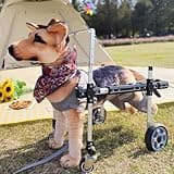 Dog Wheelchair for Front/Back Legs,4 Wheels Lightweight Aluminum Frame with Handle,Extended Leg Straps,Only 3 lbs,Includes Leash,Fits Pugs,French Bulldogs,and Schnauzers(Small-Medium Dogs)