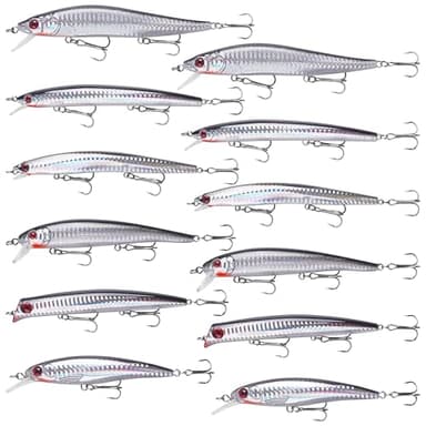 Saltwater Fishing Lures Kit, Surf Fishing Minnow Lures Jerkbait Topwater Popper Plugs Deep Diving Hard Baits Treble Hooks for Striped Bass Offshore Ocen Gear Tackle 6/12Packs(12PCS)