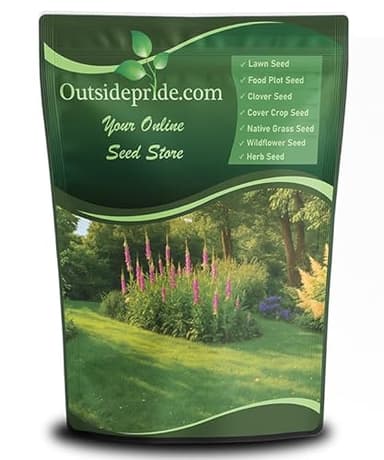 Outsidepride Sheeps Fine Fescue Grass Seed - 5 Lbs. Perennial Heat & Drought Tolerant Dense Green, Traffic-Resistant Turf for Shaded Environments w/OptiGrowth Coating for Seed Enhancement