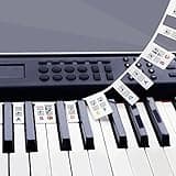 Removable Piano Key Stickers Note Labels for 88 Key Full Size GICUNK Silicone Reusable Piano Keyboard Stickers for Beginners Comes with Box(Color)