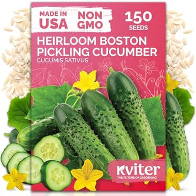 KVITER 150 Boston Pickling Cucumber Seeds (Cucumis sativus) - Boston Pickler Cucumber Organic, Perfect Cucumbers for Pickling and Slicing - Vegetable Seeds for Planting in Home Garden & Containers