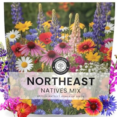 Northeast Natives Mix – 16,000 Seeds for Planting – 2026 Season – 1 Ounce Pouch
