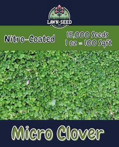 Micro Clover - (1oz) Nitro-Coated, 15,000 Total Seed - Covers Up to 100 Sqft! Transform Your Lawn with Seeds That are Eco-Friendly, Low Maintenance, and Drought-Tolerant.