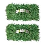 SodPods Zoysia Grass Plugs (16-Count) Natural, Affordable Lawn Improvement