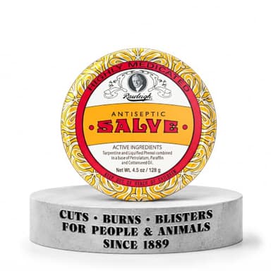 Rawleigh Antiseptic Salve Iconic Yellow Big Tin: 4.5 oz (Pack of 1)