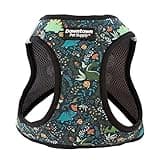 Downtown Pet Supply Step in Dog Harness for Small Dogs No Pull, Small, Dinosaur - Adjustable Harness with Padded Mesh Fabric and Reflective Trim - Buckle Strap Harness for Dogs