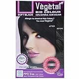 Vegetal Bio Colour - Soft Black 150g | 100% Herbal and Organic Hair Color | Ammonia-Free, PPD-Free | Semi-Permanent Dye for Men and Women | Protects UV and Maintains Luster | Complete Kit Included