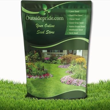 Outsidepride Yukon Bermuda Grass Seed - 2 lbs Cold & High Traffic Tolerant, Premium Hybrid Bermuda Turf Grass Seeds for Lawn, Ideal Low Maintenance Seed Grass for Colder & Challenging Area