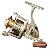 Diwa Spinning Fishing Reels for Saltwater Freshwater 1000 2000 3000 4000 5000 6000 Series Fishing Spool Left/Right Interchangeable Trout Carp Spinning Reel 10 Ball Bearings Light and Smooth (6000)