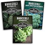 Survival Garden Seeds Broccoli Seeds Collection – 3 Packets with Instructions - Calabrese, Romanesco, Waltham 2 – Non-GMO Heirloom Open-Pollinated Seeds to Plant in an Autumn Garden