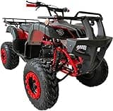 HHH 200cc ATV Quad 4 Wheelers Utility ATV 200 Full Size ATV Adult ATVs Big Youth ATVs Color (Red)