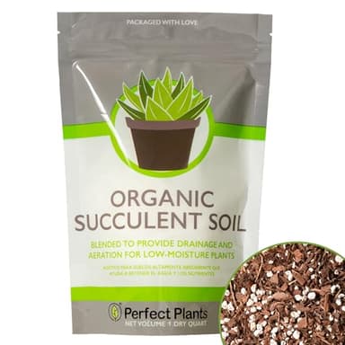 Succulent & Cactus Soil Mix by Perfect Plants (1QT)