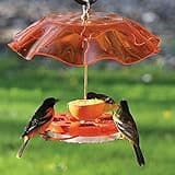 Birds Choice Oriolefest Oriole Bird Feeder w/ Protective Weatherguard, Orange - Complete Bird Feeder Kit and Accessories, 12oz Capacity