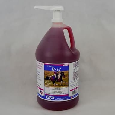 SU-PER B-12 Energy Horse Supplement - Equine Vitamins B-12 & B-9 Folic Acid Support Liquid - Red Blood Cell Production & Stamina Support for Peak Performance - Gallon + Pump, 4 Month Supply