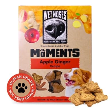 Wet Noses Moments Crunchy Dog Treats – All-Natural, Human-Grade, Non-GMO, Healthy Training & Delicious Snacks for Dogs, for All Dog Sizes & Breeds – Apple Ginger, 14oz (2 Pack)