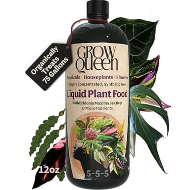 Grow Queen Organic Liquid Indoor Plant Food, Houseplant, Tropical & All-Purpose Indoor Plant Fertilizer, Organic Liquid Fertilizer 5-5-5 with Sea Kelp, 12oz Treats 75 Gallons