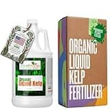 Organic Kelp Fertilizer by GS Plant Foods - Omri Listed(1 Gallon) - Liquid Kelp Concentrate for Gardens, Lawns & Soil Yields 800+ gallons