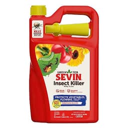 Our 10 Best Cicada Killer Insecticide for 2026 [US] | OneClearWinner.com