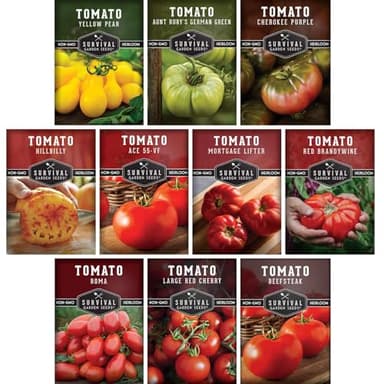 Tomato Seeds 10 Variety Pack for Planting - Cherokee Purple, Roma, Cherry, Aunt Ruby's Green, Hillbilly, Mortgage Lifter, Brandywine, & More - Non-GMO Heirloom Tomatoes - Survival Garden Seeds