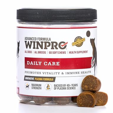 WINPRO Pet Daily Care Chews for Dogs, 60 Soft Chews, Plasma Powered, Grain Free Supplement for Dogs with Probiotics to Support A Healthy Immune System