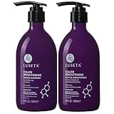 Luseta Purple Shampoo and Conditioner Set for Blonde, Gray - Color Treated Hair - Sulfate Free Paraben Free - Infused with Cocos Nucifera Oil for Curly and Damaged Hair - 2x16.9oz