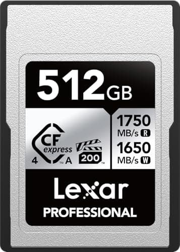 Lexar 512GB Professional CFexpress Type A Silver 4.0 Memory Card, for Photographers, Videographers, Up to max 1750/1650 MB/s, 8K Video (LCAEXS4512G-RNENU)