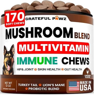 Turkey Tail Mushroom Supplement for Dogs - 170 Chews - Mushrooms for Dogs - Reishi, Lion’s Mane, Glucosamine Multivitamin - Immune Booster, Gut, Hip & Joint Health Support Vitamins, Energy & Skin