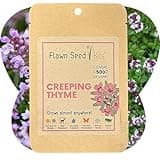 Flawn Seed Creeping Thyme Seed, Pollinator Friendly, Low Maintenance, Lawn Alternative, Ground Cover, Compostable Pouch, Covers Up to 500 SqFt