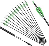 KESHES Archery Carbon Arrows for Recurve, Longbow, Traditional Bows – 30-Inch Archery Arrows - Removable Nocks & Tips for Target Practice – Durable Archery Accessories for Youth & Adults (12 Pack)