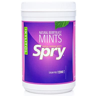 Spry Xylitol Berry Blast Mints Sugar Free Candy - Promote Oral Health, Increase Saliva Production, Stop Bad Breath, Non-GMO, Gluten-Free, 1200 Count (Pack of 1)