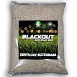 Blackout Kentucky Bluegrass Grass Seed (5 lbs)