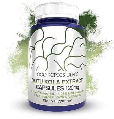 Nootropics Depot Gotu Kola Extract Capsules | 120mg | 90 Count | Acid Resistant | Centella asiatica | 35-45% Triterpenes | Supports Healthy Stress Levels | Promotes Memory Enhancement