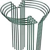 LEOBRO Plant Support, 8PCS Peony Cages and Supports, Plant Stakes for Indoor Plants, Outdoor Plants, Plant Holders, Tomato Monstera Hydrangea Support Cage, 10" W x 15.8" H