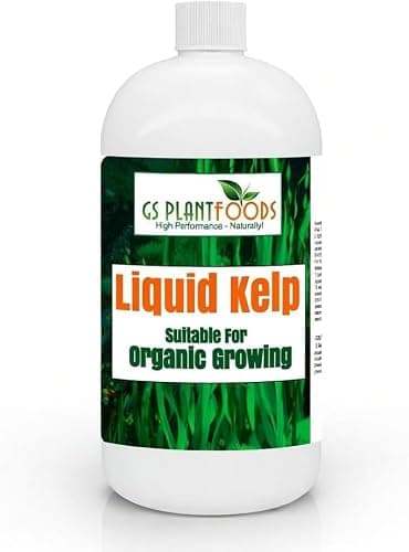 GS Plant Foods Liquid Kelp Fertilizer – Suitable for Organic Growing, OMRI Listed Seaweed Concentrate for Flowers, Gardens, Vegetables & Soil - 1 Quart (Makes Up to 200+ Gallons)