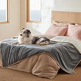 Bedsure Waterproof Blanket for Bed - Sherpa Fleece Waterproof Dog Blankets for Large Dogs, Pet Blankets for Bed/Couch/Dog Crate, Soft Plush Reversible Furniture Protector, Twin Size, 80"x60", Grey