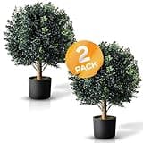 BOTARO TRESIL Set of 2 - Pre-Potted 24" High Ball Shaped Boxwood Topiary- 16" Diameter - Plastic Pot
