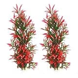 Tfwadmx Large Aquarium Plants Artificial Water Seaweed 2 Pcs About 12.5 Inch for Fish Tank Decor Plastic Plant for Betta Shrimp Red Gladiolus