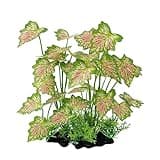 Smoothedo-Pets Aquarium Plant Fish Tank Decoration Small Plastic Artificial Plant Goldfish Fish Hide (Rainforest Leafs-Pink-Large-Set) (Rainforest Leafs-Pink-Large-Set)
