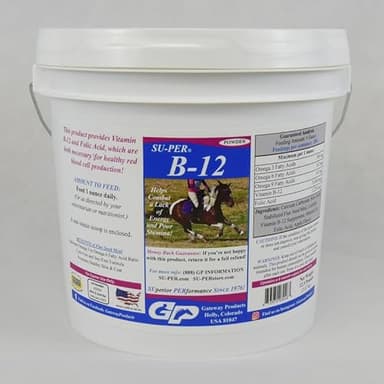 SU-PER B-12 Energy Horse Supplement - Equine Vitamins B-12 & B-9 Folic Acid Support Powder - 12.5 Pounds, 6 Month Supply
