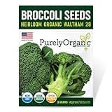 Organic Broccoli Seeds (Waltham 29) - Approx 750 Seeds - USDA Organic, Non-GMO, Open Pollinated, Heirloom, USA Origin