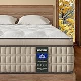 BedStory Queen Mattress 14 inch - Plush Hybrid Mattress in a Box for Extra Lumbar Support, 365-Night Trial, Soft Deep Sleep Spring Mattress Motion-Isolation, Fiberglass Free Bed, CertiPUR-US Certified