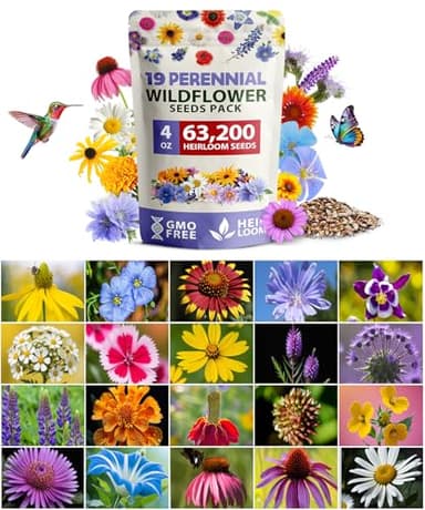 HOME GROWN Wildflower Seeds Bulk 4 oz 63,200+ Seeds 19 Varieties Non-GMO Perennial Mix, Butterfly & Pollinator Flower Seeds, Attract Bees, Birds & Hummingbirds, Outdoor Planting