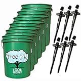 Tree I-V 6-pk Deep Root Development Watering System & Feeder