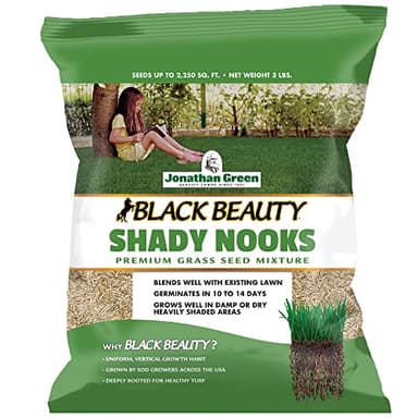 Jonathan Green (11957) Black Beauty Shady Nooks Grass Seed - Cool Season Lawn Seed (3 lb)